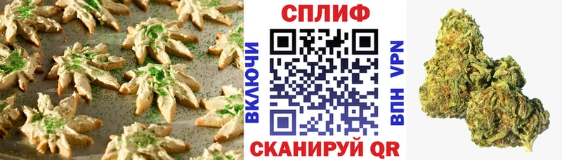 купить наркоту  Шагонар  Еда ТГК конопля 