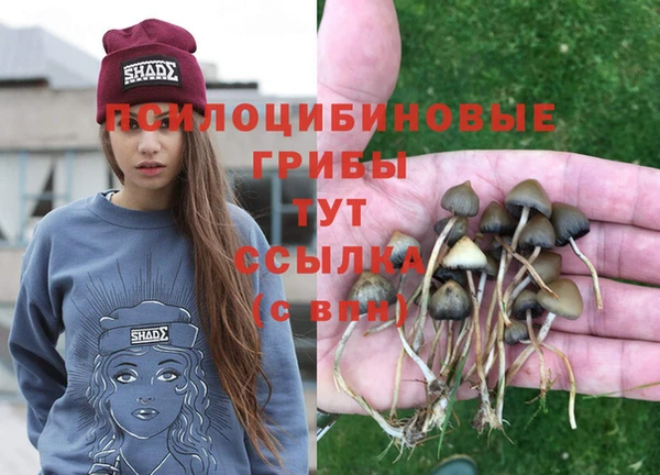 молекула духа Верея
